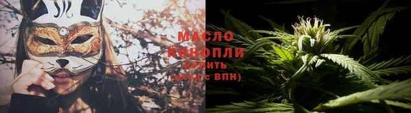 хмурый Инта