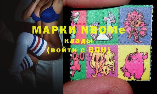 хмурый Инта