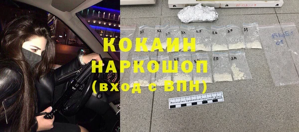 хмурый Инта