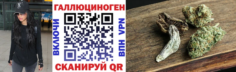 Купить где  Курчатов  Галлюциногенные грибы прущие грибы 